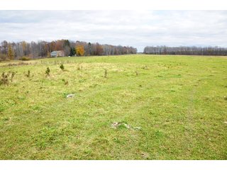 Property photo 78 - REAL ESTATE AUCTION - 1,428+/- ACRES OFFERED IN 10 TRACTS IN PRICE CO., WI